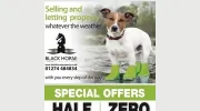 Blackhorse Property
