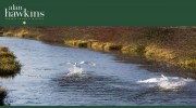Alan Hawkins Estate & Letting Agents Ltd